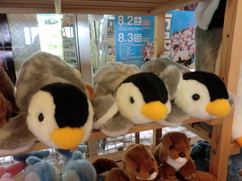 CIMG0032-83aaa-thumbnail2