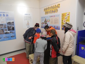 オオグソクムシタッチング