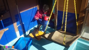 IMGP0754 - コピー