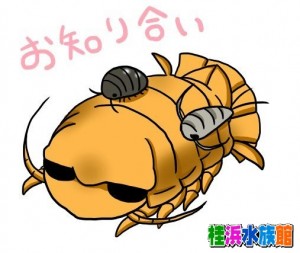 オオグソクムシ