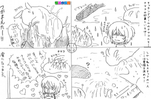 海のタッチングプール