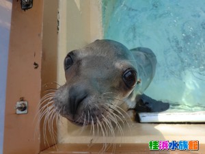 CIMG0337