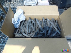 DSCN8774