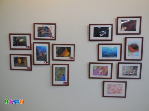 DSCN8830