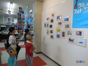 DSCN8834