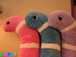 CIMG0040
