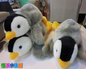 CIMG0046