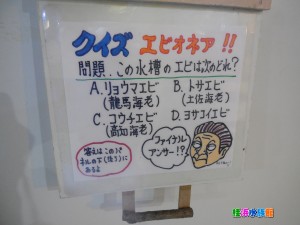 DSCN9587