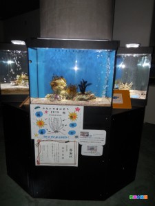 DSCN8882 - コピー