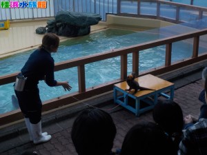 DSCN0093 - コピー