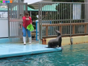 CIMG0339 - コピー