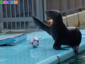 DSCN9109 - コピー