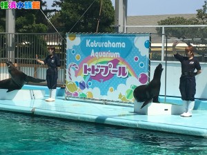 IMG_7395 - コピー