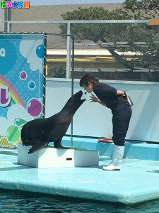 IMG_7350 - コピー