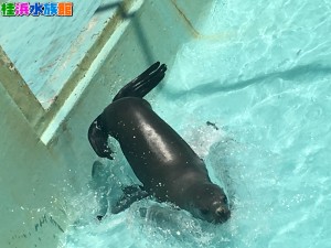 IMG_7284 - コピー