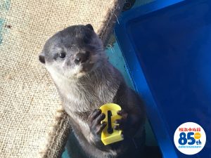 IMG_8035 - コピー