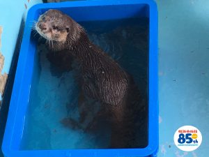 IMG_8058 - コピー