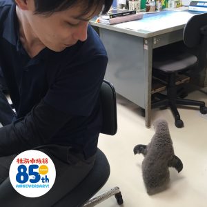 リオちゃん②