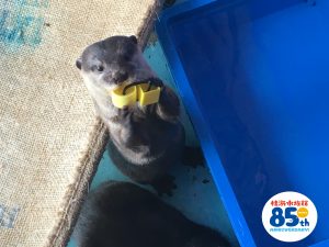 IMG_8034 - コピー