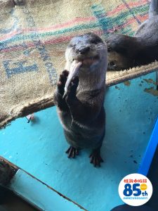 IMG_8055 - コピー