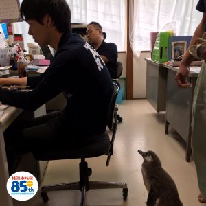 リオちゃん①