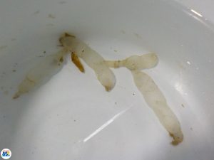 DSCN1225