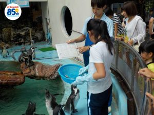 飼育員体験2