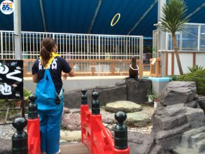 img_5732-%e3%82%b3%e3%83%94%e3%83%bc