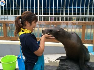 img_5738-%e3%82%b3%e3%83%94%e3%83%bc