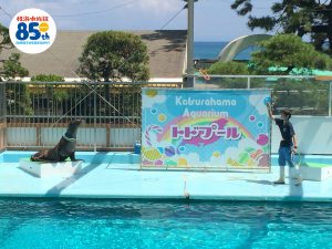 %e3%83%88%e3%83%89%e3%82%b7%e3%83%a7%e3%83%bc