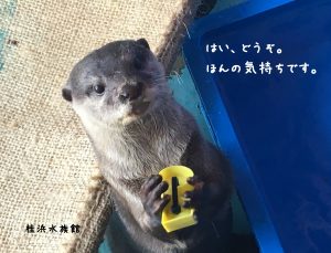 %e3%83%86%e3%83%b3%ef%bc%88%e3%81%bb%e3%82%93%e3%81%ae%e6%b0%97%e6%8c%81%e3%81%a1%e3%81%a7%e3%81%99%ef%bc%89