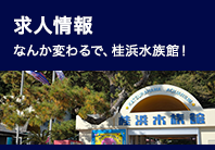 求人情報