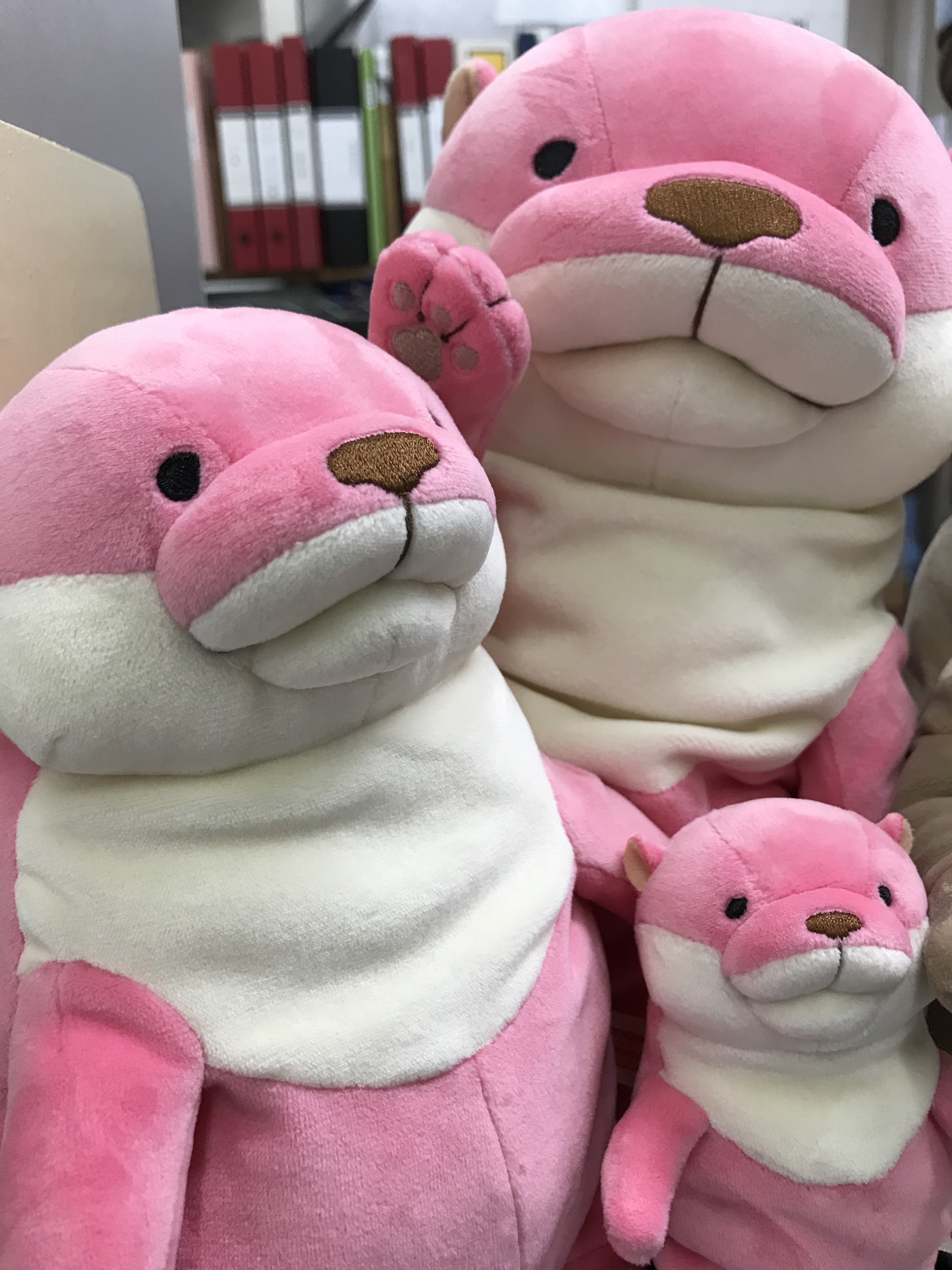 36％割引品質のいい もちカワウソ桂浜水族館限定ピンク色新品 ぬいぐるみ おもちゃ-APP.TABBIEMATH.COM